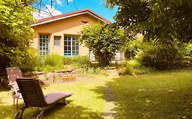 Ecologis Du Vignoble